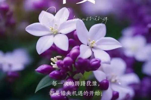 十月份最吉利的一天