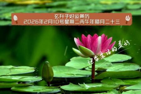 2026年2月18日是黄道吉日吗