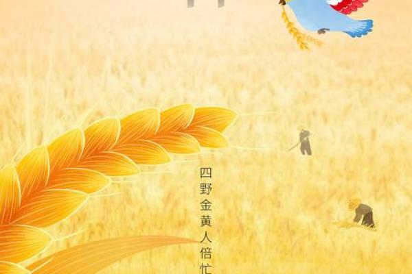 芒种是几月几日2024