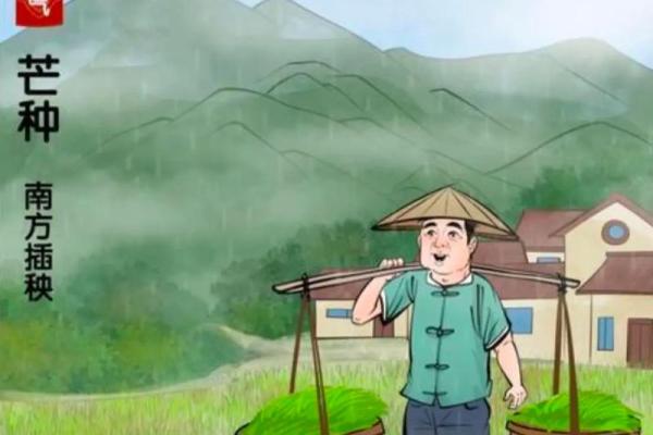 芒种是几月几日2024