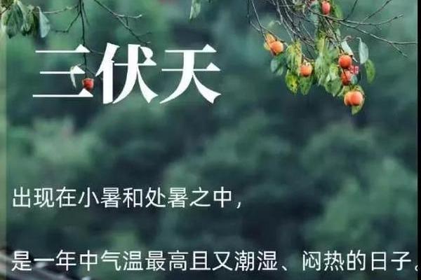 暑伏是几月几号2021