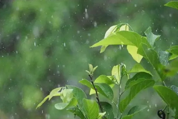 出梅是几月几日2021