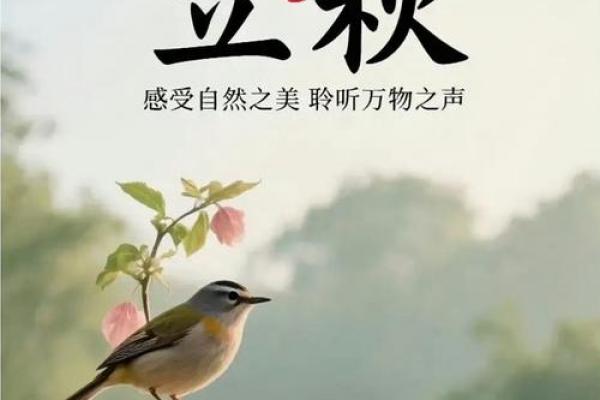 2023年立秋时间几点几分几秒 今年立秋是几点几分开始 2023年立秋时间几点几分几秒 今年立秋是几点几分开始