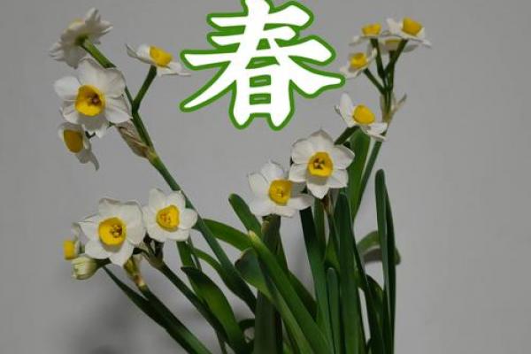 立春过后是立夏 立春后多久到立夏 立春过后是立夏 立春后多久到立夏