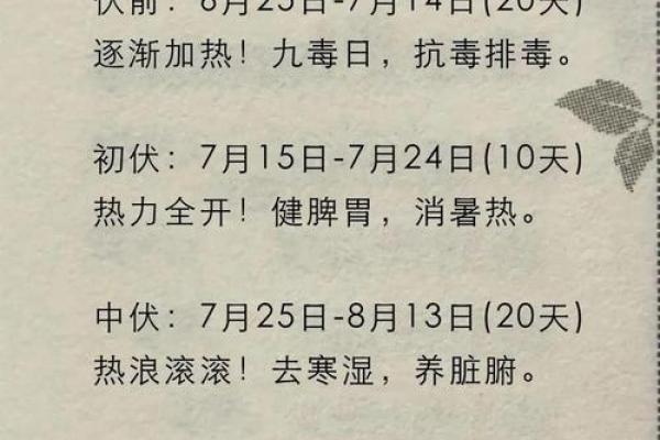 初伏是几月几号2023年 2023年三伏天时间表