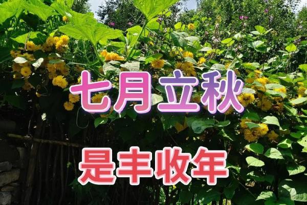 几点立秋2022年早秋还是晚秋 今年立秋是早秋还是晚秋