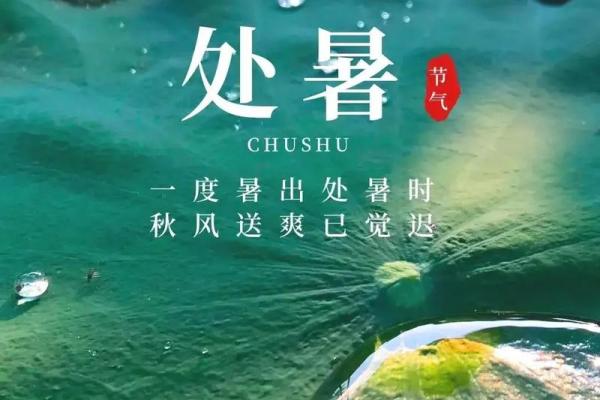 处暑是几月几日2024年 处暑节气2024年时间 处暑是几月几日2024年 处暑节气2024年时间