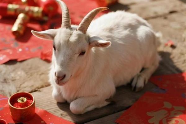 5月理发最吉利的三个日子,2026年千万别错过 5月理发最吉利的三个日子,2026年千万别错过