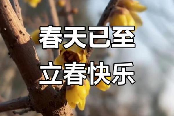2023年2月4日几点立春 立春是几点开始 2024年2月4日 2023年2月4日几点立春 立春是几点开始 2024年2月4日