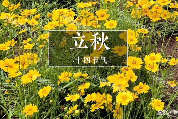 几点立秋今年 立秋节气当天宜忌事项