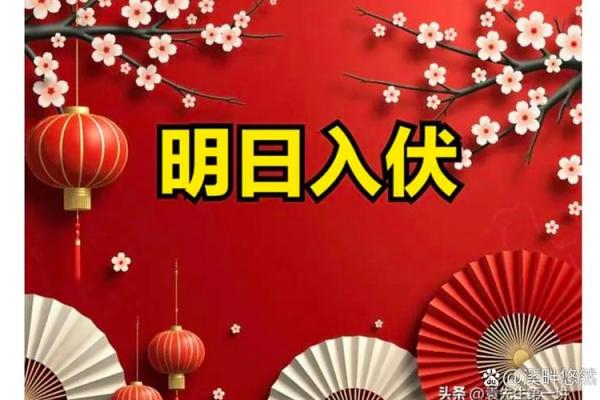 2020入伏是几月几日 今年入伏具体日期查询 2020入伏是几月几日 今年入伏具体日期查询