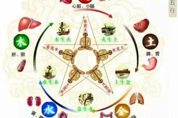 立春出生的虎宝宝好不好 虎年立春出生五行查询