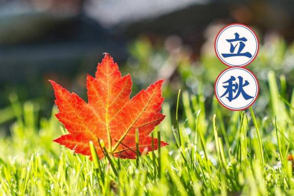 2019立秋时间几点 立秋节气准确时间查询