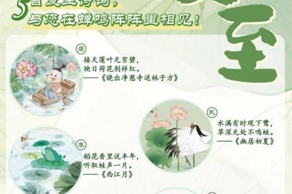 夏至是几月几号2021年 夏至节气是哪一天2021 夏至是几月几号2021年 夏至节气是哪一天2021