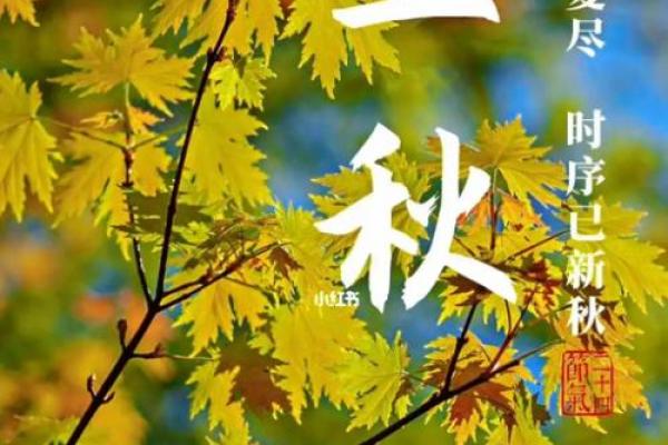 8月8日立秋是早秋还是晚秋 2024年立秋是早秋吗 8月8日立秋是早秋还是晚秋 2024年立秋是早秋吗