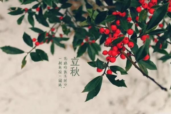 八月八号立秋是几点 2024年立秋准确时刻