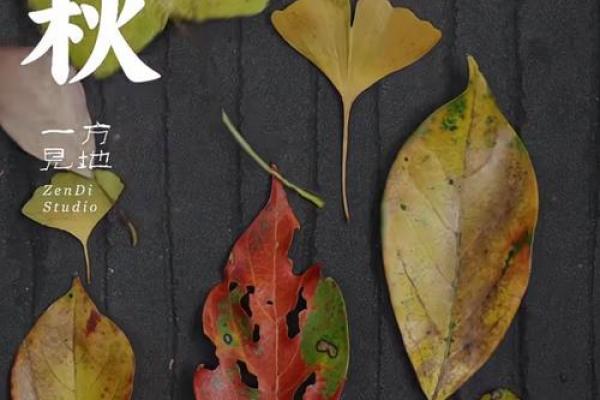 2020年8月7日几点几分立秋 今年立秋是几点几分开始 2020年8月7日几点几分立秋 今年立秋是几点几分开始