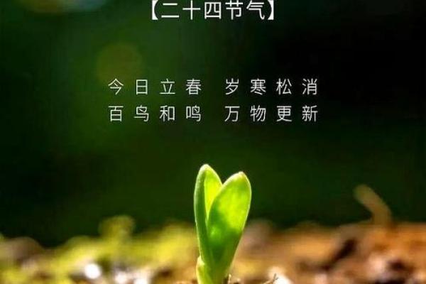 关于立春的文案(200句) 立春祝福语简短一句话 关于立春的文案(200句) 立春祝福语简短一句话