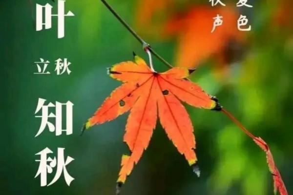 几月几日立秋 立秋节气是哪一天 几月几日立秋 立秋节气是哪一天