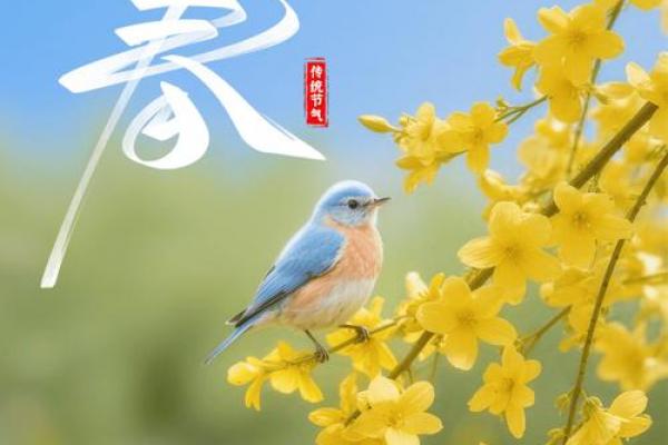 2023年几点几分立春打春 2023年打春是几点几分