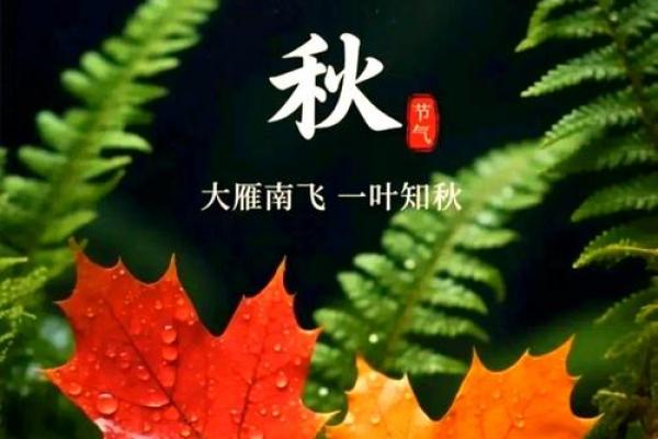 2020年几点立秋 立秋节气2020年时辰