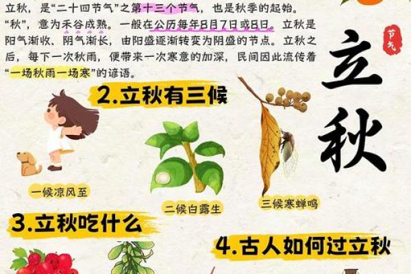 立秋节气的风俗饮食 立秋节气饮食养生食谱