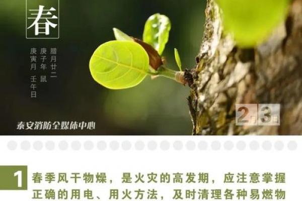 立春能回娘家吗 立春回娘家对谁不好