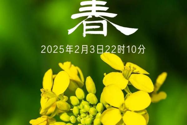 2021年立春时间几点 今年立春是几点几分开始