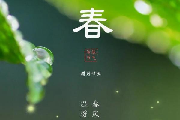 2019年立春时间 2019年打春具体时间几点