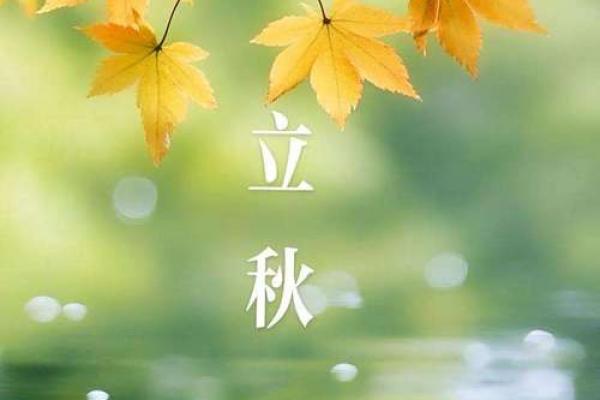 2021年立秋图片大全大图 立秋传统习俗活动图片合集