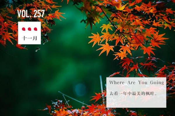 11月份交易最好三个日子揭秘，错过再等一年！