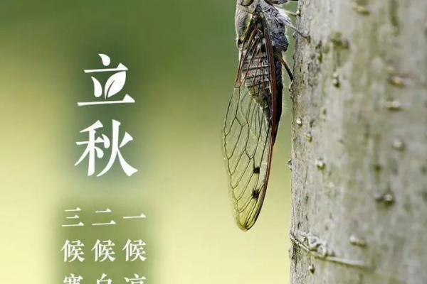 立秋当天有什么禁忌 立秋不宜做什么事