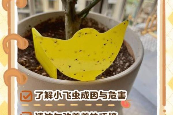 立秋后下雨出来的虫子叫什么名字 雨后出现的庭院爬虫防治