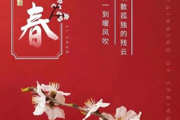 哪天立春2024年几月几日 2024年立春是几月几号