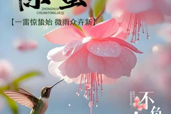 2022年惊蛰是几月几号 惊蛰节气是哪一天2022