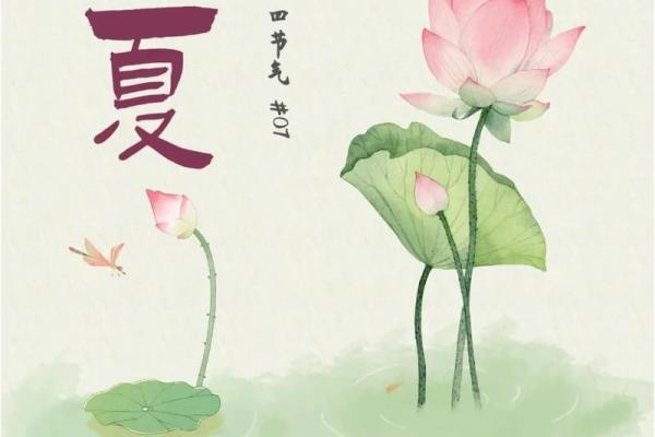 2023年立夏是几月几号几时几分几秒 立夏节气2023年几点几分