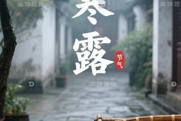 寒露是几月几日2024年 寒露节气2024年时间表