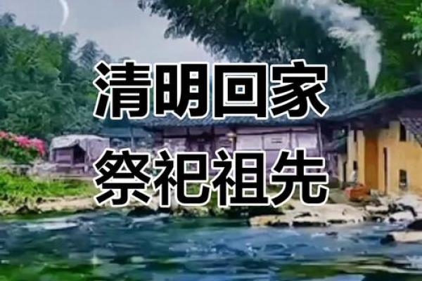 2024清明节传统节日祝福语 清明祭祖祝福语大全