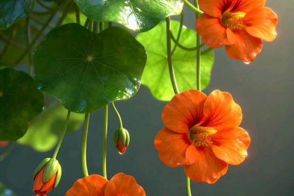 2026年9月开运最旺日子，助你运势飙升