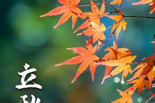 今年立秋是几点几分几秒 立秋节气准确时刻表