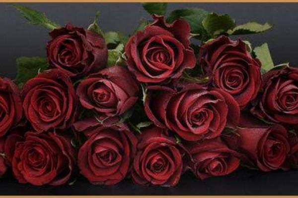 四月十四日是什么节日 4月14日适合开业吗