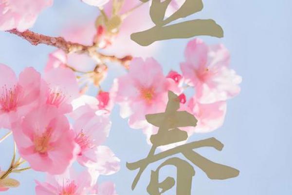 几点立春2021年 2021年立春是几点几分