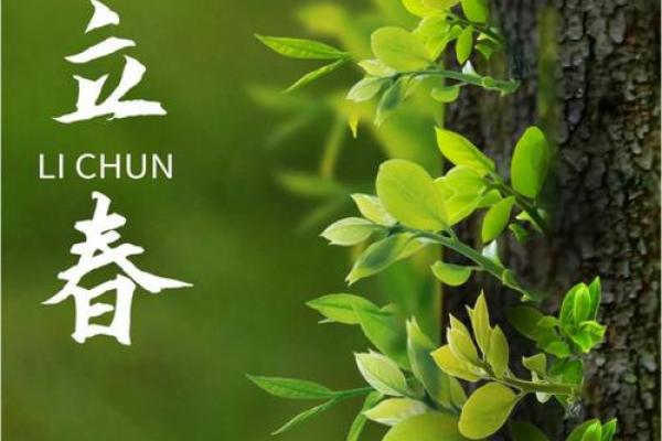 立春夫妻大忌 立春这天夫妻能吵架吗