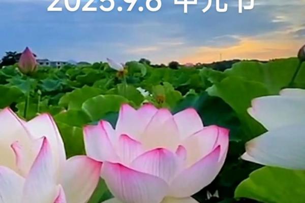 7月15日是什么节日 中元节是哪一天2024