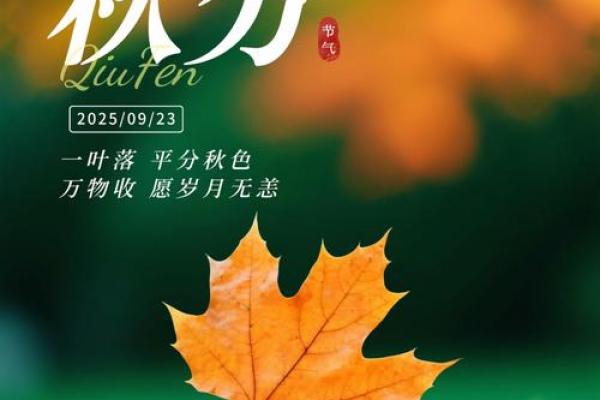 秋分是2023的几月几日 秋分节气2023年时间表