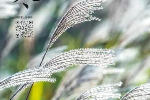 立冬是几月几日2018 立冬节气是哪一天2018