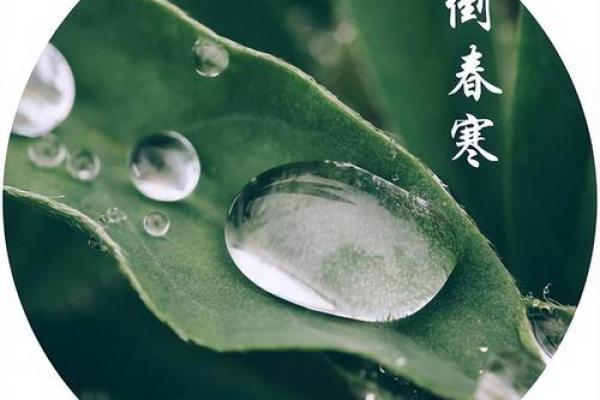 立春能理发吗 立春后第一天适合剪头发吗