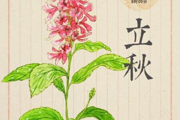 2024年立秋是几点几分几秒 立秋节气几点开始2024