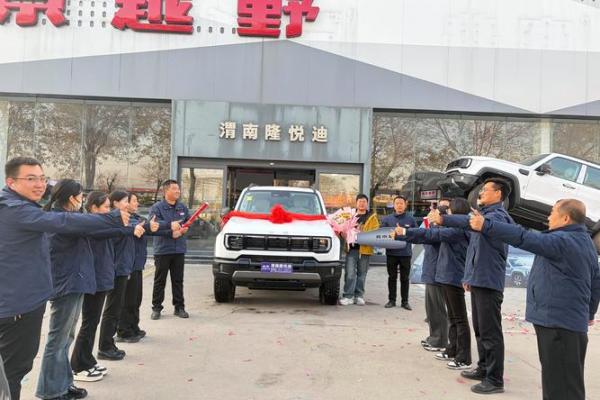 2026年6月提车吉日精选，这几日最旺运！