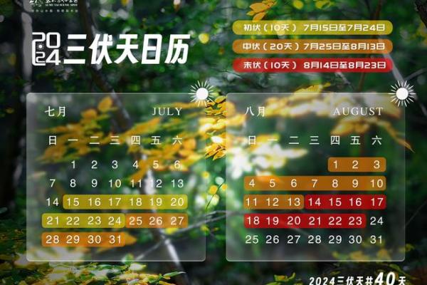 今年入伏是几月几日2022 三伏天从哪天开始2022